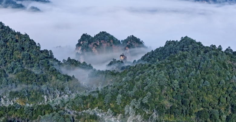 冬日莽山美如画