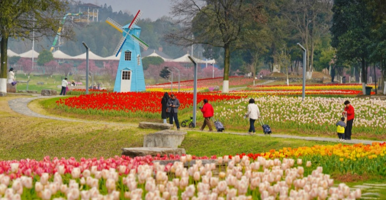共赴春日花海之约