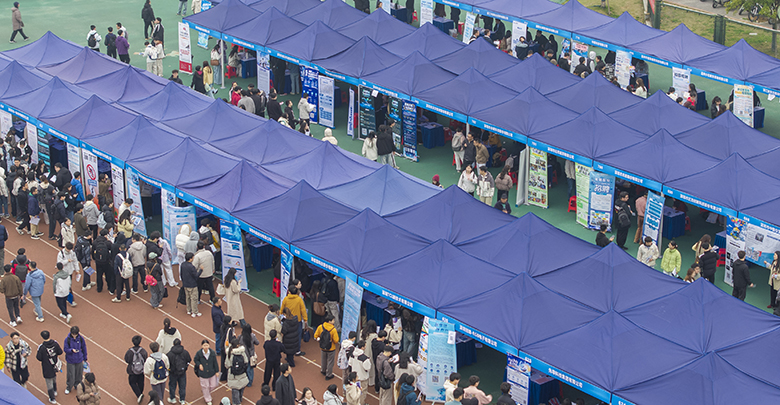 春风送暖 职引未来