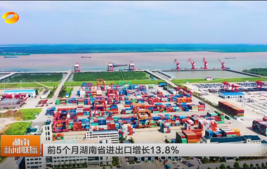 视频丨前5个月湖南省进出口增长13.8%
