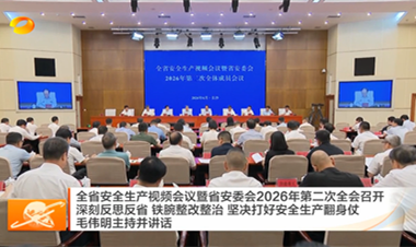 视频丨全省安全生产视频会议暨省安委会...